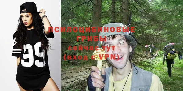 молекула духа Беломорск