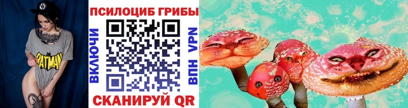 Псилоцибиновые грибы Psilocybe  mega ссылка  Тында 